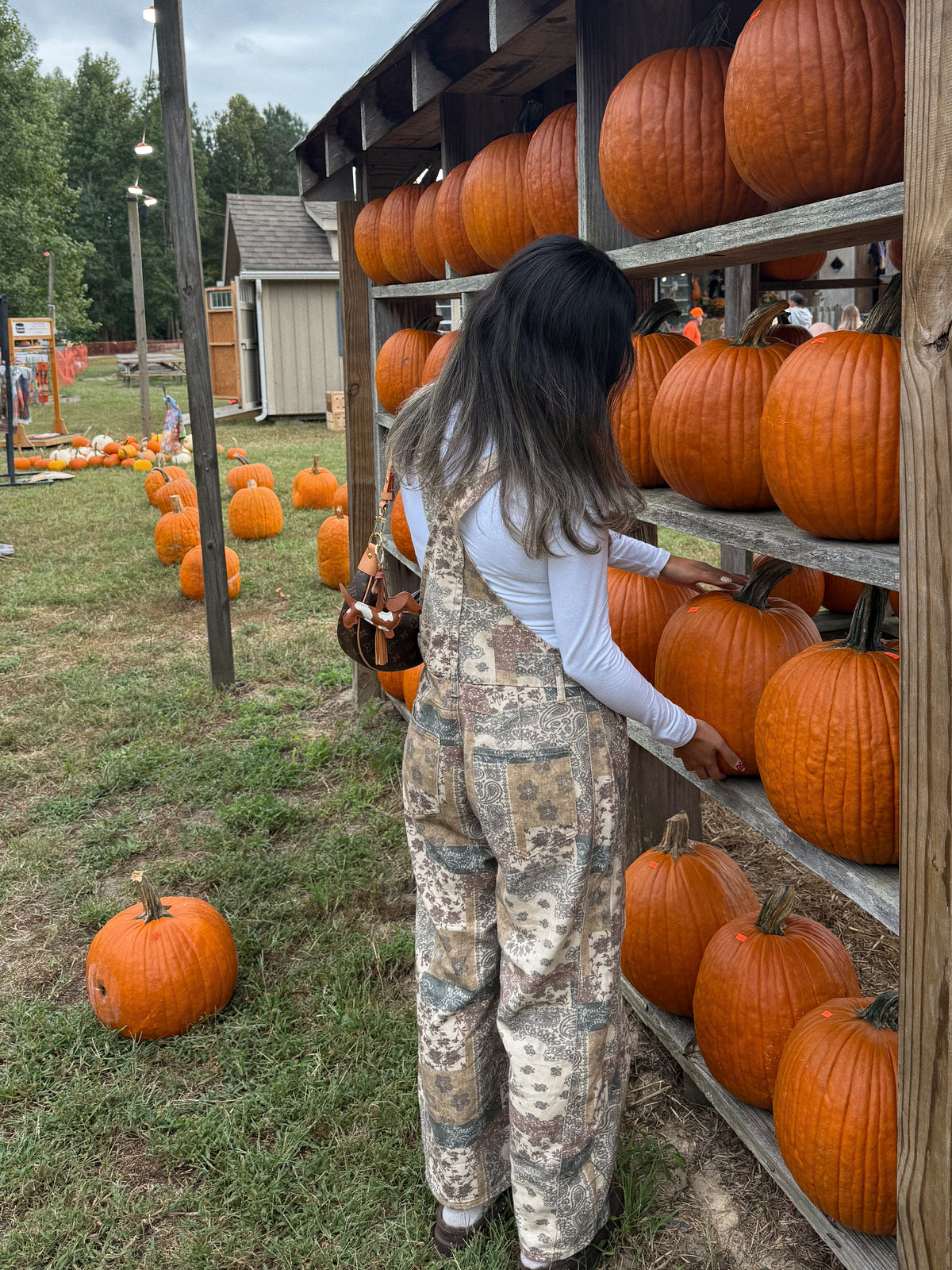 Golden Meadow Overalls