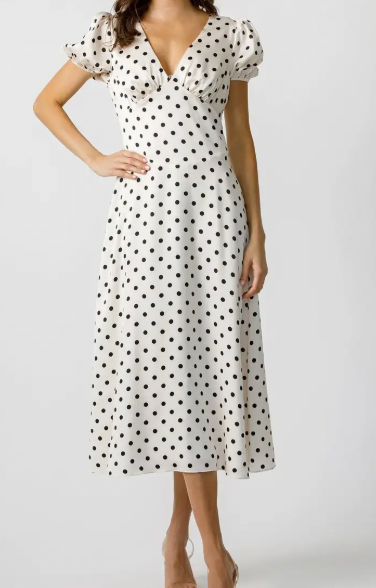 Pearl Dotted Dress