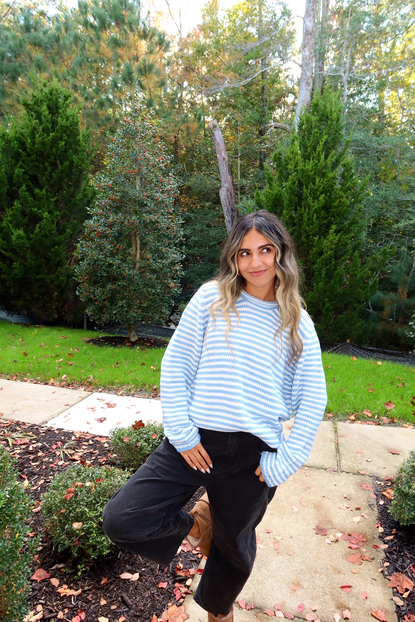 Skyline Striped Knit Sweater