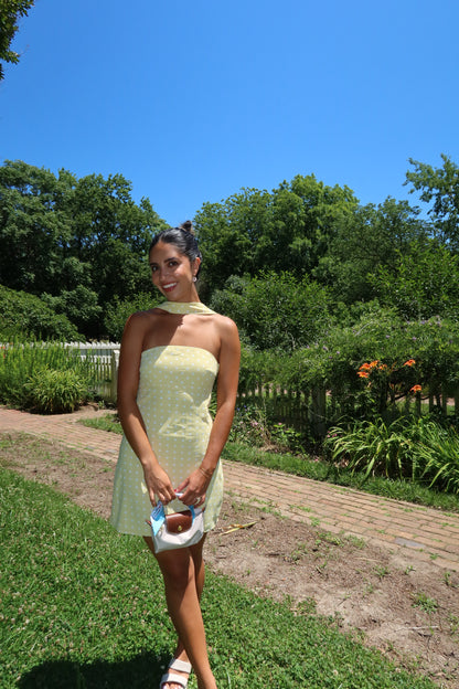 Sunny Days Mini Dress