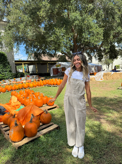 Harper Gingham Overalls