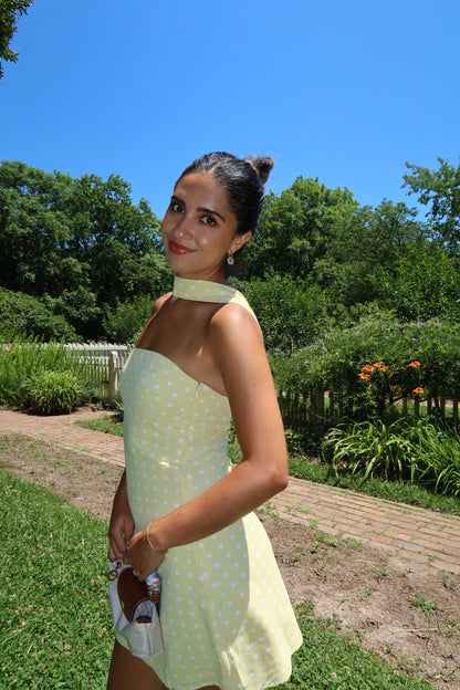 Sunny Days Mini Dress