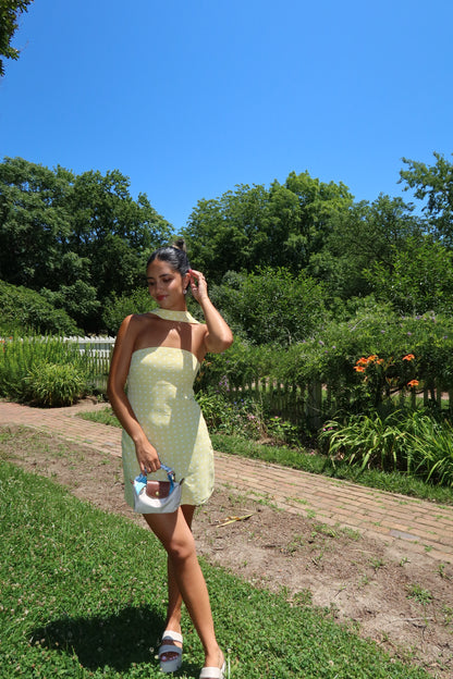 Sunny Days Mini Dress