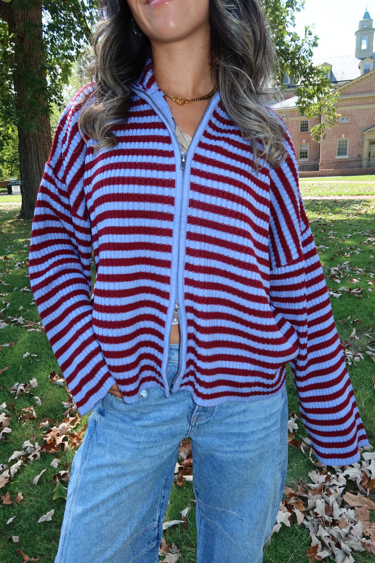 Berry Stripe Jacket