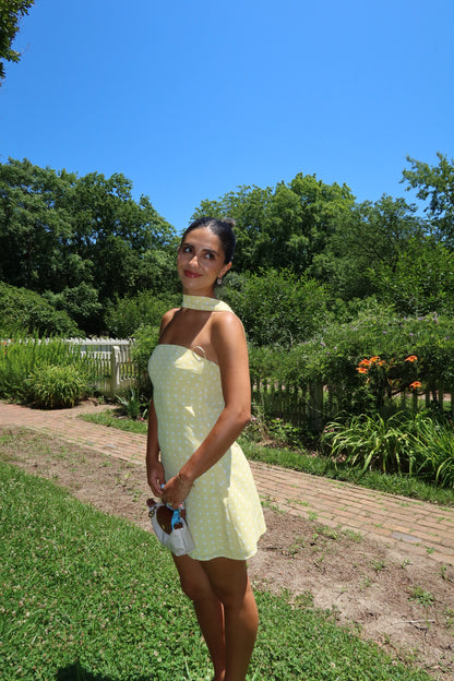 Sunny Days Mini Dress