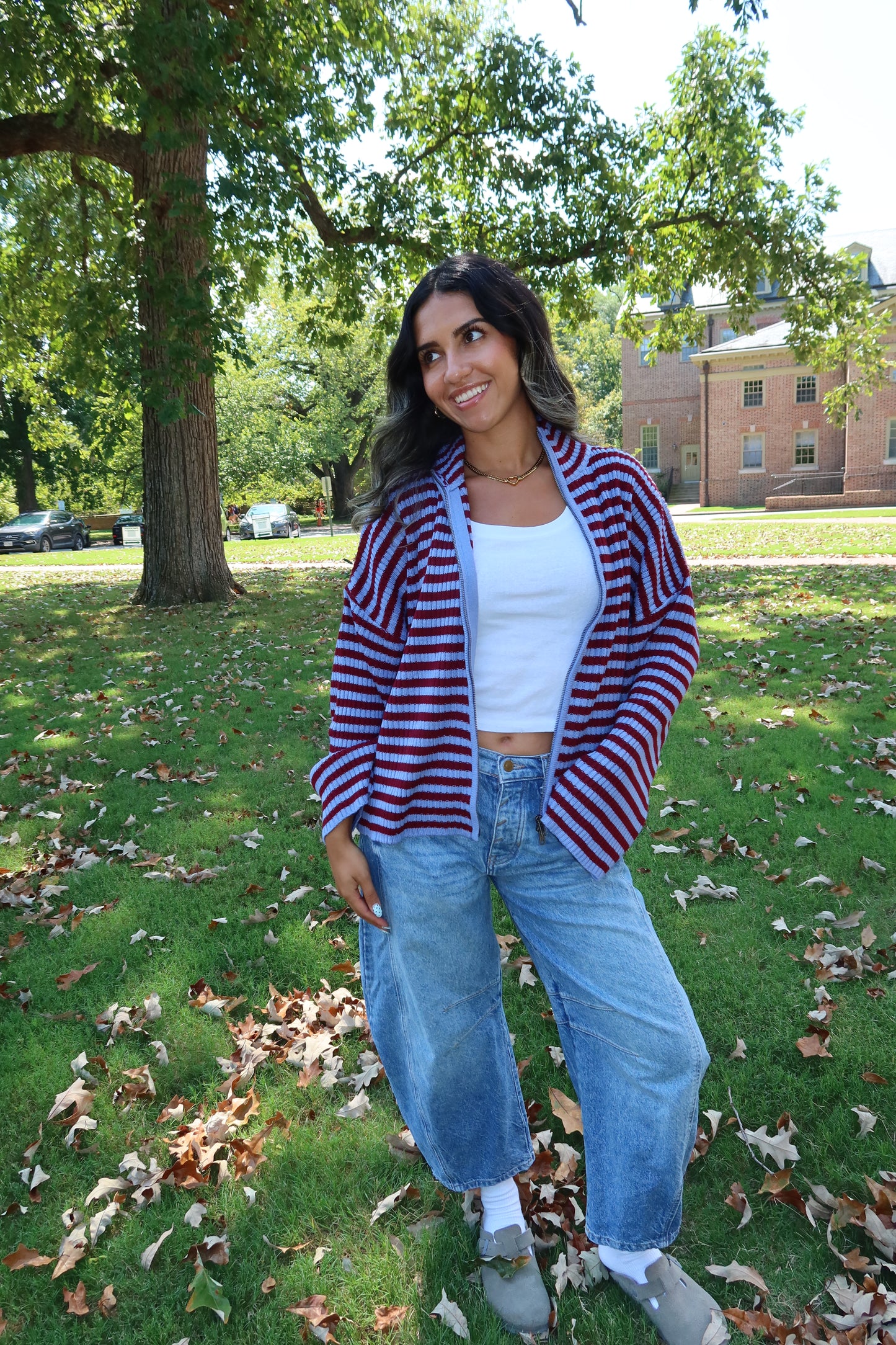 Berry Stripe Jacket