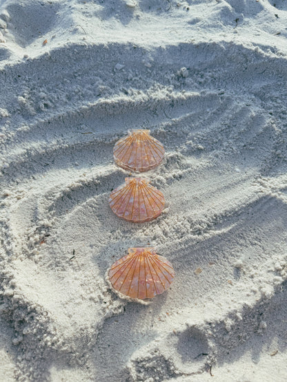 Seashell Hair Clip